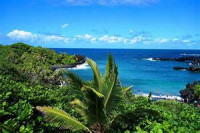 Image of Besst Of Beijing